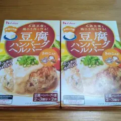 きたやま[プロフ必読]さま専用　豆腐ハンバーグヘルパー 2-3個分×2袋