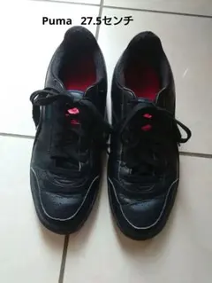 Item thumbnail for item de8f223e-0087-4358-9c43-3222cdcad519