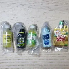 【2023年12月発売】ハウスウェルネスフーズ ミニチュアチャーム 5点セット