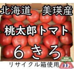 絶品、甘〜い❣️☆北海道産 スーパーフルーツトマト 規格外訳あり品