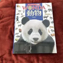 WONDA 動物