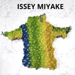 希少極美品✨イッセイミヤケ シボリ加工 変形トップス マルチカラー ハート絞りのサムネイル