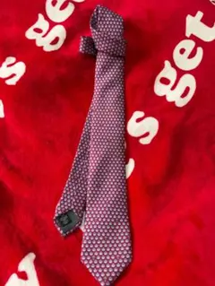 エルメネジルド・ゼニア パターン入りネクタイ