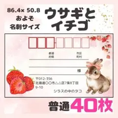 Item thumbnail for item 6b6cd433-127c-494a-95e6-27ccfad9fbaa