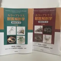 カラーアトラス獣医解剖学 下巻 カラーアトラス獣医解剖学 増補改訂第2版 【上巻/下巻セット