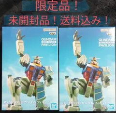 万博 GUNDAM ガンダム ジオング他 ピンバッジセット 2箱 Goicパンフ 大阪 関西万博 GUNDAMパビリオン ガンダム ジオング ピンバッジ