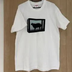 supreme ダミアン ハースト