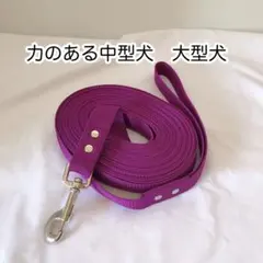 力のある中型犬　大型犬　ロングリード　10m 2cm幅のサムネイル