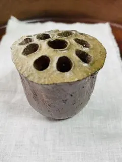 Item thumbnail for item fe83e3b2-45f3-4858-8a34-9166bef83f27