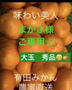 まかふ様ご専用☆*:.。.