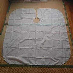 Item thumbnail for item d3d33437-23db-454f-b34d-7da9676d5d23