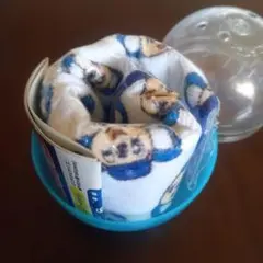 中日ドラゴンズ ドアラ コレクション ミニタオル ガチャ