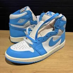 新品 ナイキ NIKE JORDAN DZ5485-402 スニーカー