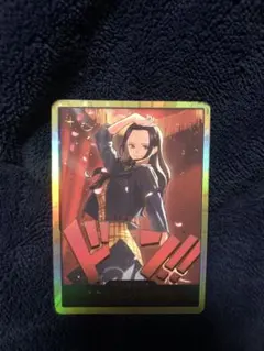 ニコ ロビン ドン 金枠 パラレル ヒロインズエディション ワンピースカード