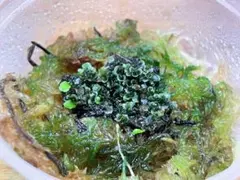 2026年最新】totor ビカクシダの人気アイテム - メルカリ