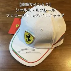 F1当時物直筆サイン】2010年フェルナンドアロンソサイン入りキャップ