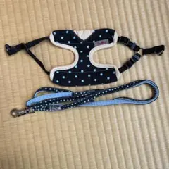 Item thumbnail for item 72b0ec89-c4cd-4286-a332-67d7f7cc552b