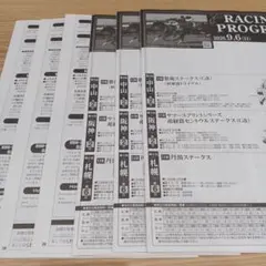 9/5.6 JRA レーシングプログラム 32