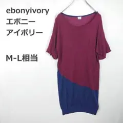 【エボニーアイボリー】チュニック ミニワンピース バイカラー M〜L相当 半袖