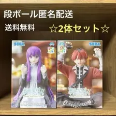 葬送のフリーレン ちょこのせ プレミアムフィギュア フェルン シュタルク