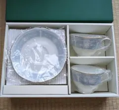 Noritake ティー椀皿セット Y6578A/1507