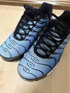 Nike Air Max Plus DM0032-031 27㎝ - メルカリ
