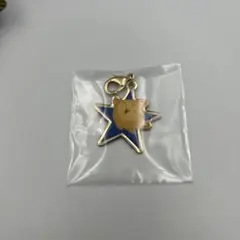 Disney THE MARKET限定ディズニースターチャームコレクションスター