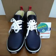 Item thumbnail for item 120c50b6-e48f-48eb-9c32-58e0f8f1842b