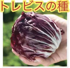 GGsystem様 リクエスト 4点 まとめ商品