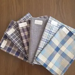 Item thumbnail for item 4c961113-bb37-4eaa-91f8-e5a2db696a17