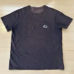 パタゴニア　Tシャツ Flying fishロゴ