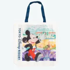 ディズニーリゾート　ショッピングバッグ　エコバッグ