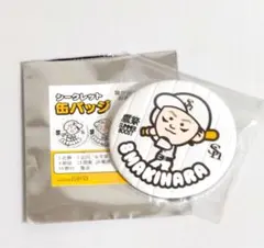 2026年最新】ソフトバンクホークス ピンバッジの人気アイテム - メルカリ