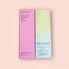 Item thumbnail for item 313f763b-0e7b-4473-b9c5-5ef3861e1cc2