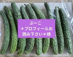 【ぷーこ ＊プロフィールお読み下さい＊様専用です】シャキットきゅうりのサムネイル