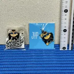 J.Y. Park キーホルダー アクリルバッジ セット y