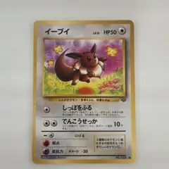旧裏ポケモンカード　イーブイ ● 第2弾拡張パック ポケモンジャングル