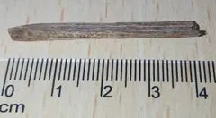 2026年最新】黄熟香の人気アイテム - メルカリ