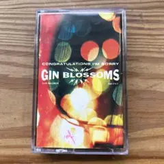 (初回盤カラー)銀杏BOYZ 恋愛革命 DOOR カセットテープ 江口寿史 71fhAip-TdL._UF350,350_QL50_.jpg