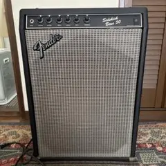 2026年最新】sidekick fenderの人気アイテム - メルカリ