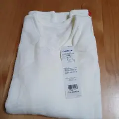 GUNZE VネックTシャツ Mサイズ オフホワイト