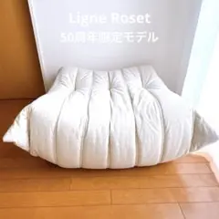 2026年最新】ロゼトーゴの人気アイテム - メルカリ