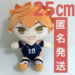 日向翔陽 フリューくじ ハイキュー A賞 ぬいもっち ぬいぐるみ 1208