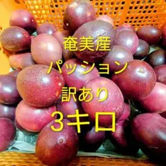 奄美産 パッションフルーツ 訳あり 約3k㉖のサムネイル