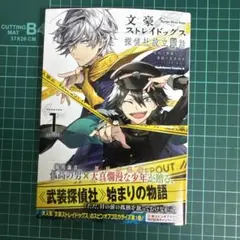 文豪ストレイドッグス　探偵社設立秘話　1巻　特典なし