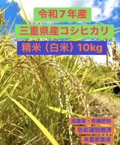 送料無料 令和7年産 徳島県産コシヒカリ100％ 白米10kg 精米したて