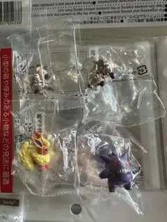 ポケモン ゲットコレクションズ イワンコ ブースター ゲンガー