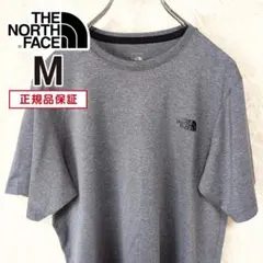 THE NORTH FACE ノースフェイス Tシャツ メンズM グレー 薄手