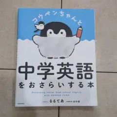 かっしー様 リクエスト 4点 まとめ商品