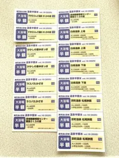 宮崎県西・県南エリア　温泉　半額本　チケットのみ　鹿児島　宮崎